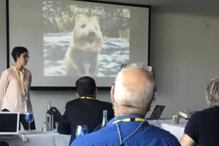 news-australian-association-conference-2018